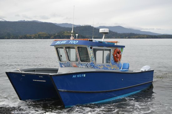 Mako's Water Taxi (from Homer to Jakolof Bay)