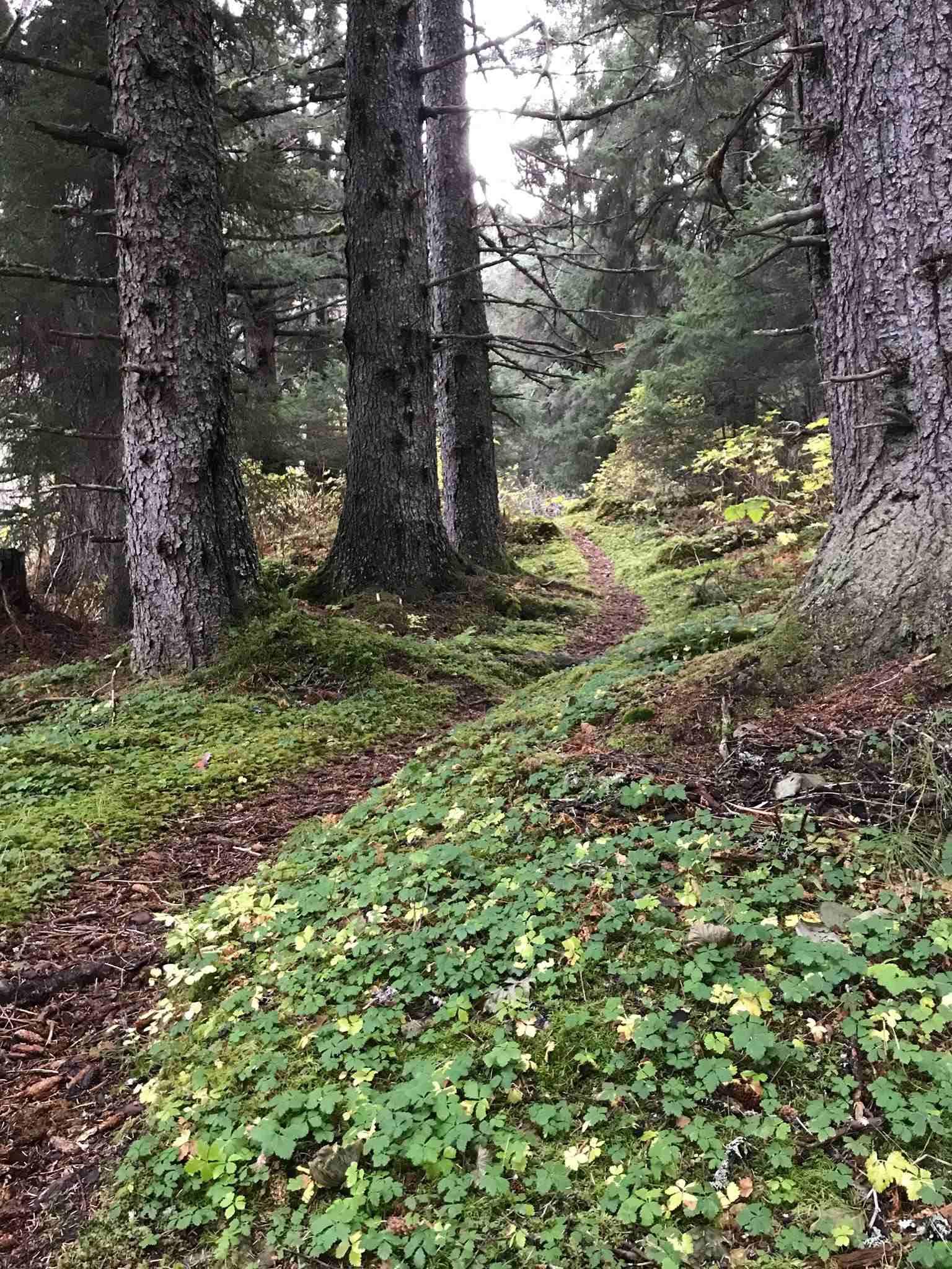 Rocky Ridge Trail